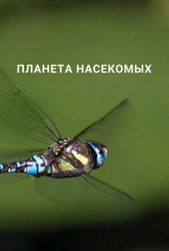 Планета насекомых (2022)